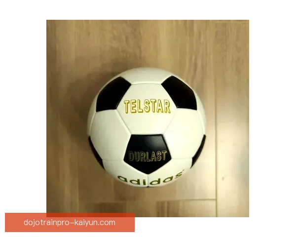 世界杯大力神杯：历史辉煌与未来挑战的交汇点值得关注